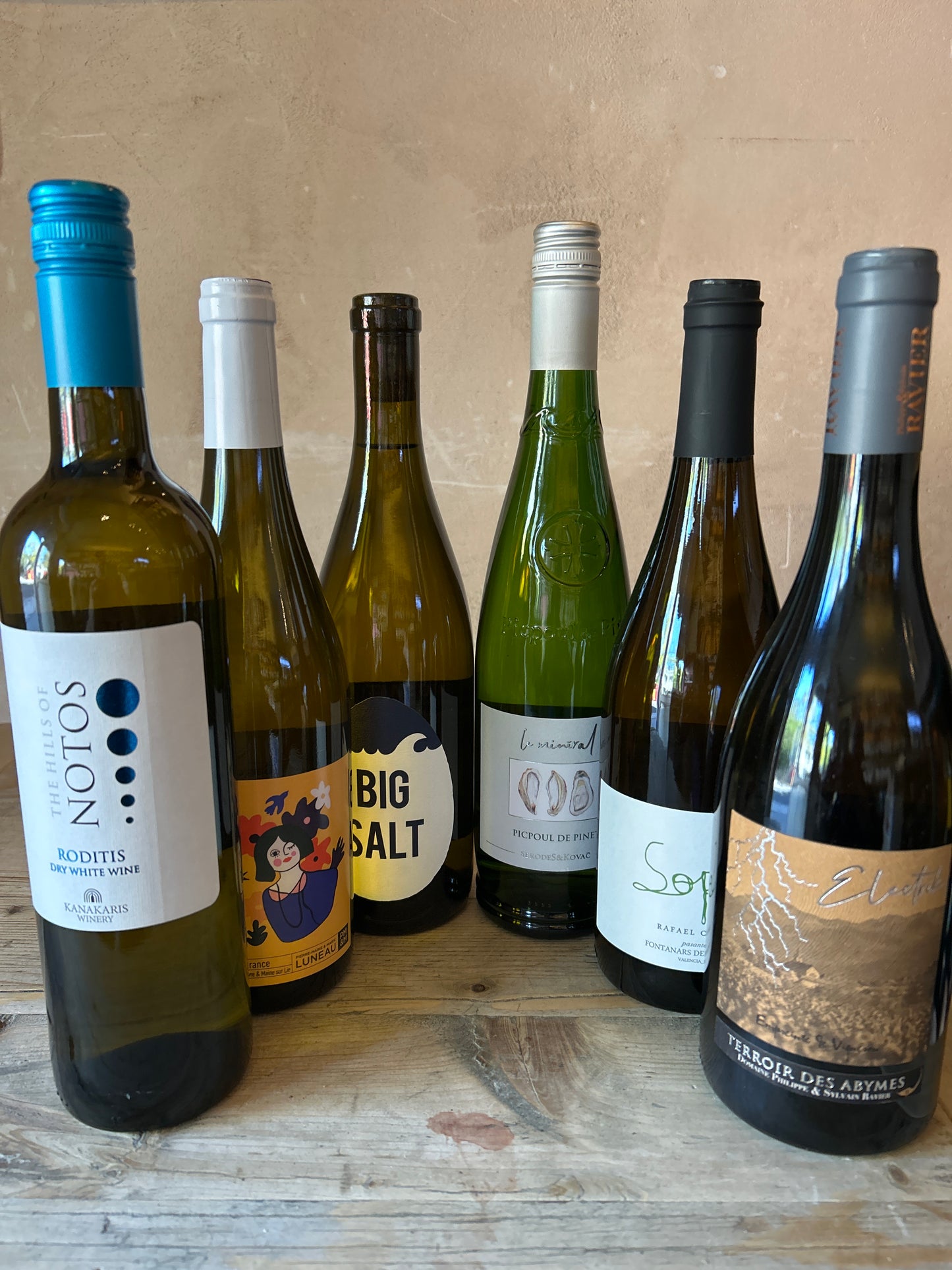 Salty Whites (6 Bottles)