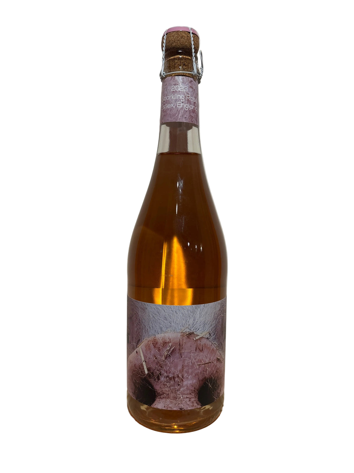 Bridget Sparkling Pink 2023, Renegade
