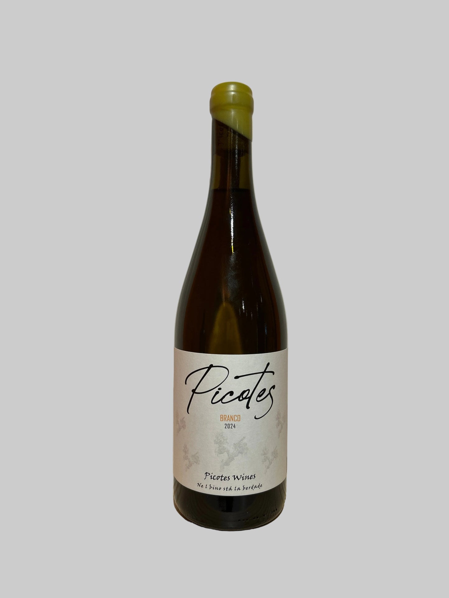 Tras-os-Montes Branco 2024, Picotes