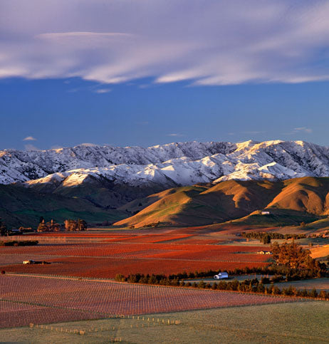 A very special tasting of 9 wines with Kevin Judd from Greywacke in Marlborough, NZ - Wednesday 21st October 7pm to 8:30pm