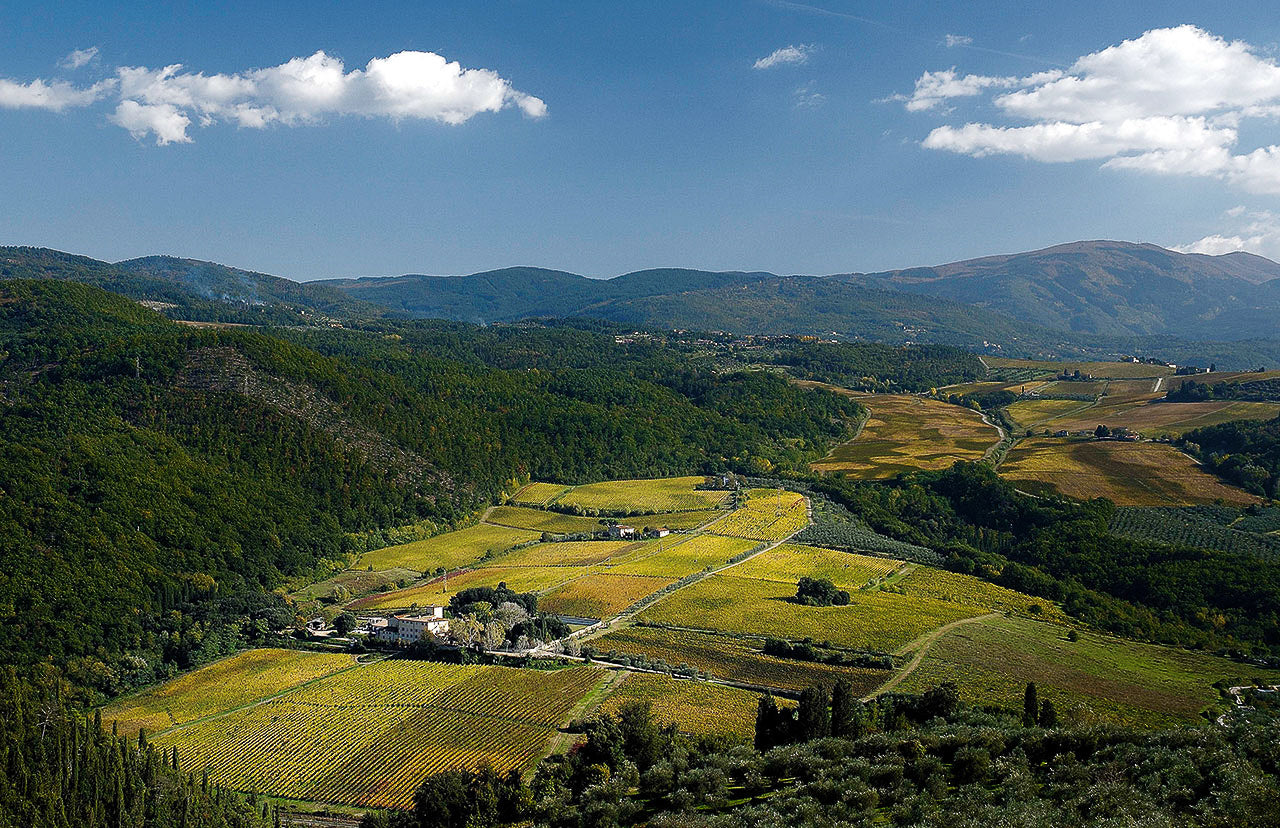 Tuscan Wine Tasting & Dinner with Capezzana and Selvapiana - Monday 9th November 7pm to 10pm