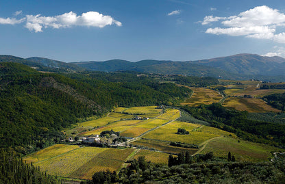 Tuscan Wine Tasting & Dinner with Capezzana and Selvapiana - Monday 9th November 7pm to 10pm
