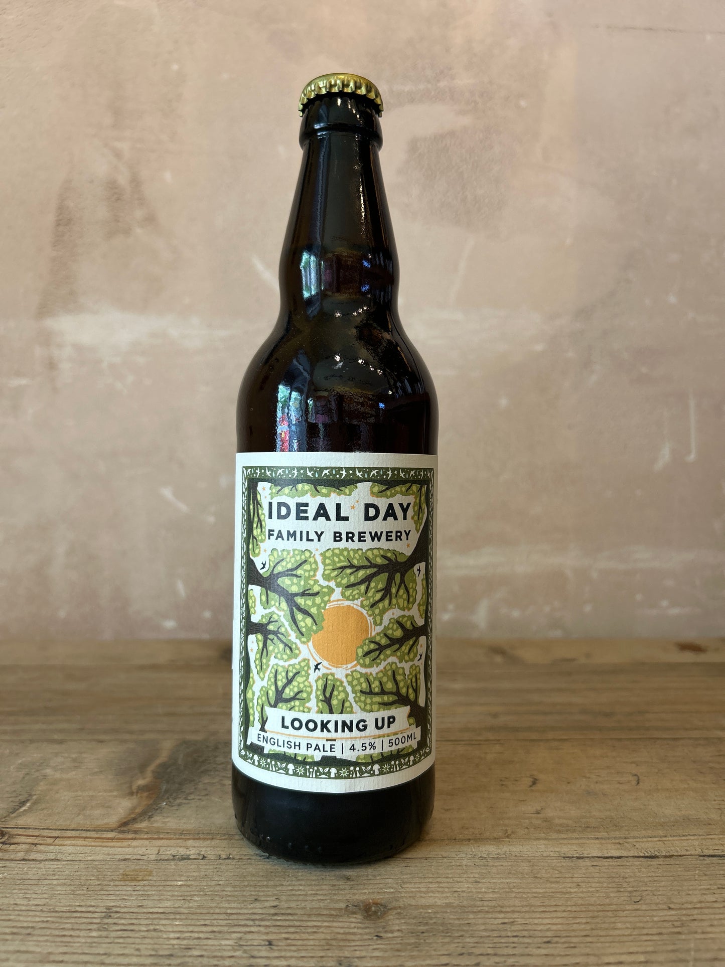 Ideal Day Looking Up Pale Ale 4.5% 500ml Bottle