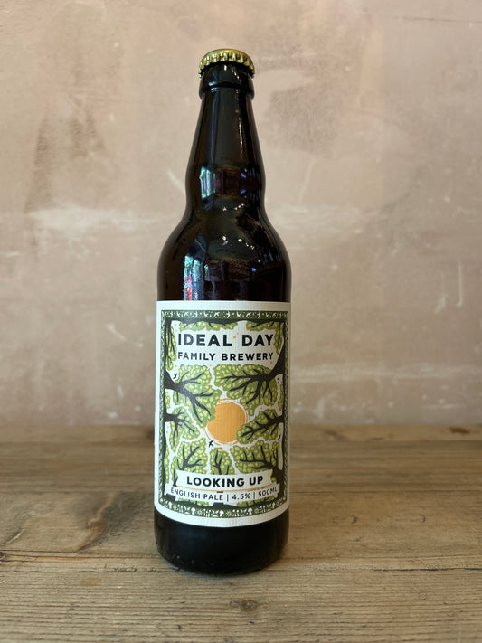 Ideal Day Looking Up Pale Ale 4.5% 500ml Bottle