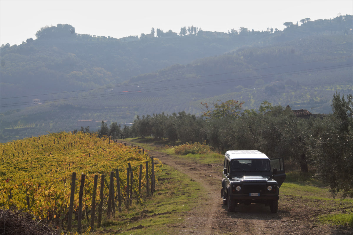 Tuscan Wine Tasting & Dinner with Capezzana and Selvapiana - Monday 9th November 7pm to 10pm