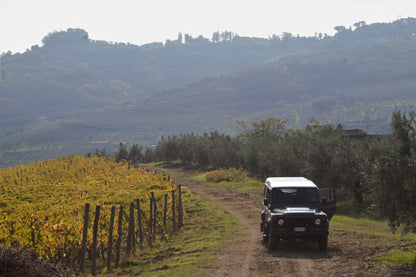 Tuscan Wine Tasting & Dinner with Capezzana and Selvapiana - Monday 9th November 7pm to 10pm