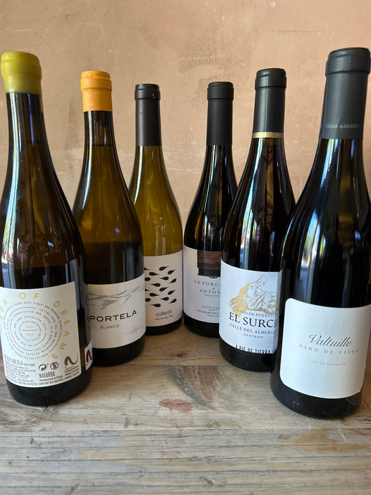 New Wave Spain (6 Bottles)