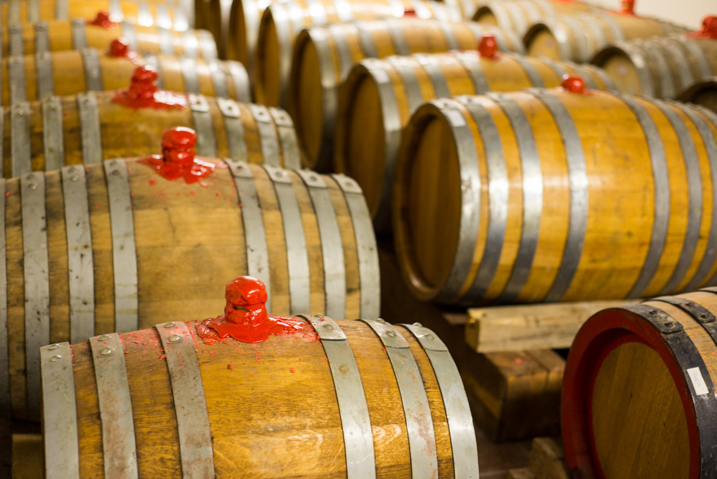 Tuscan Wine Tasting & Dinner with Capezzana and Selvapiana - Monday 9th November 7pm to 10pm