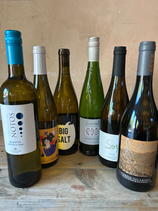 Salty Whites (6 Bottles)