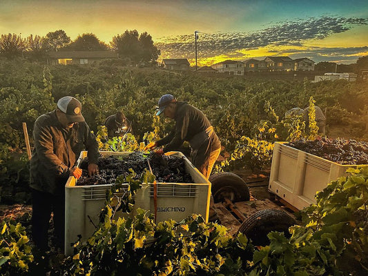Californian Wine Tasting & Dinner with Alex from Birichino - Wednesday 10th June 7pm to 10pm