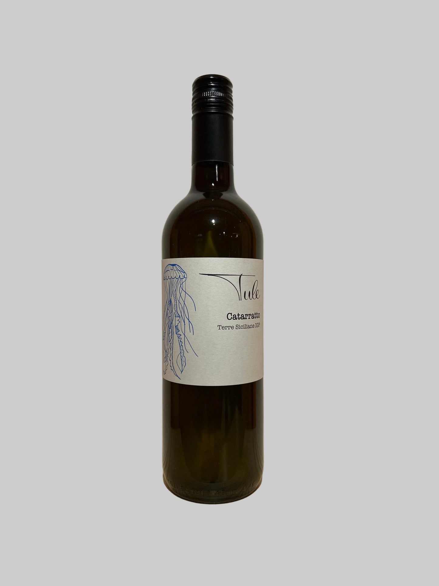 Catarratto, Tule Bianco 2024, Terroirs Project & Andrea Vesco