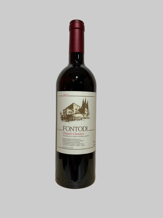Chianti Classico 2022, Fontodi