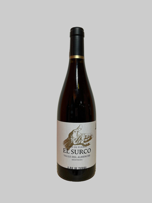 Mentrida El Surco 2024, A Pie de Tierra