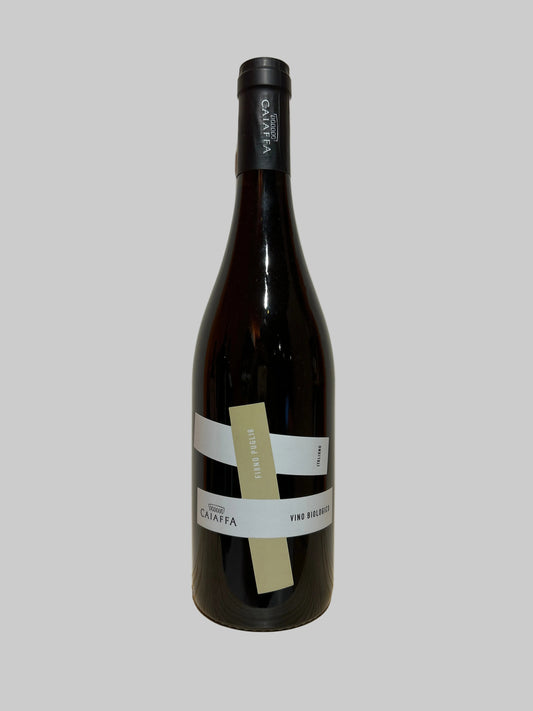 Puglia Fiano 2024, Caiaffa