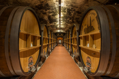 Italian Wine Tasting & Dinner with Julia from Cantina Terlano - Tuesday 7th July 7pm to 10pm