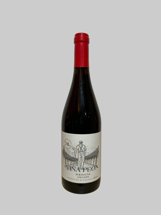 Mencia 'Vina Peon' 2023, Mauricio Lorca