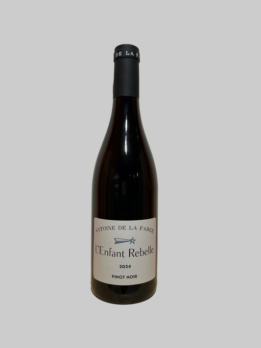 Pinot Noir 'L'Enfant Rebelle' 2024 - Antoine de la Farge, Loire, France