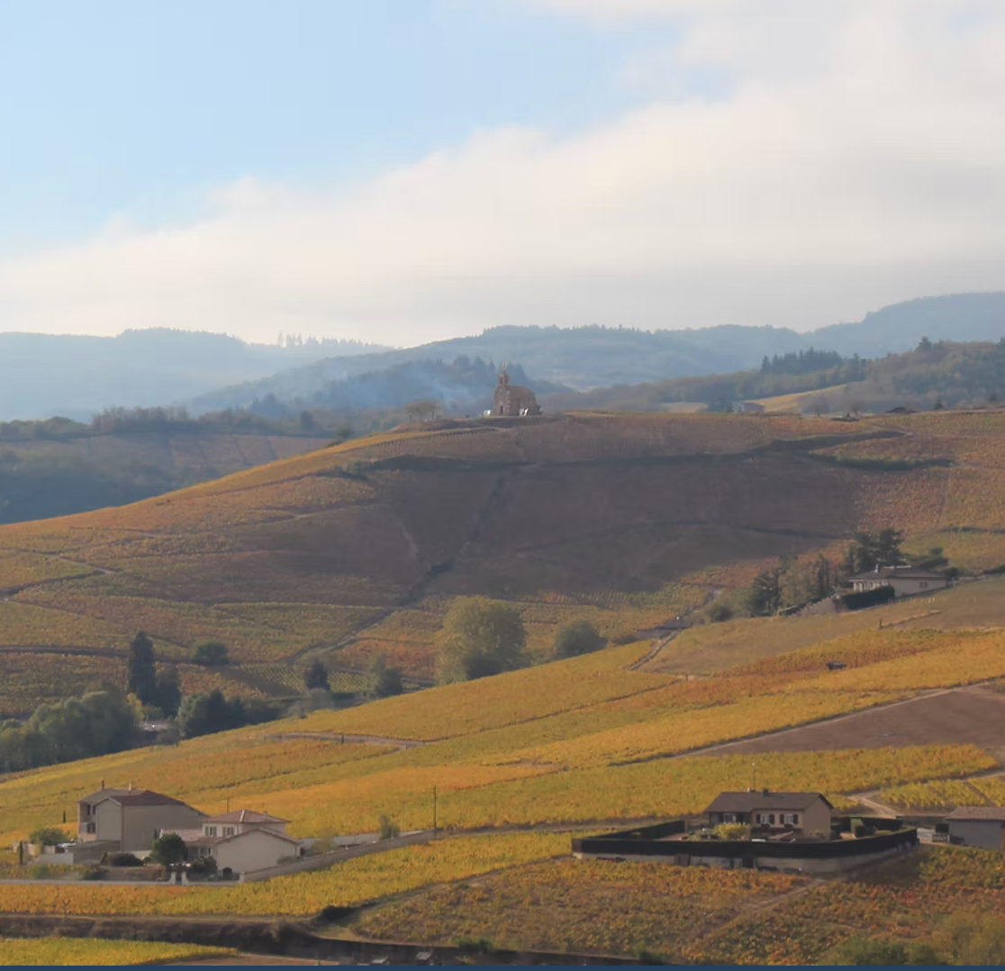 Beaujolais Wine Tasting & Dinner with Natasha Hughes MW - Thursday 21st May 7pm to 10pm