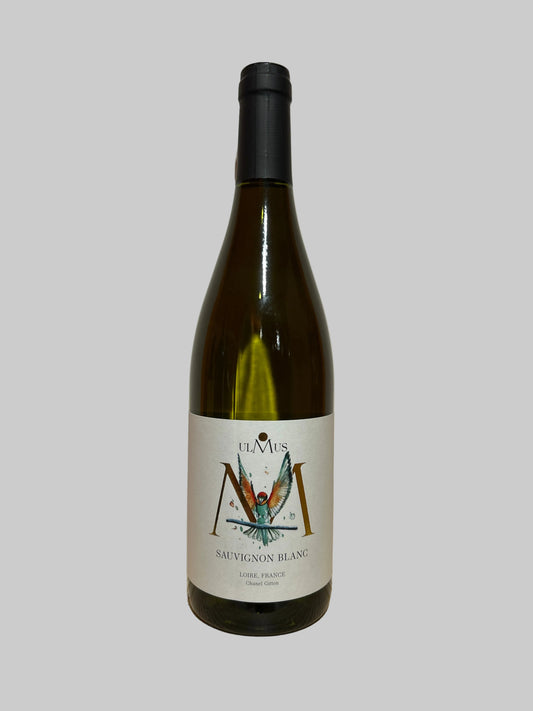 Coteaux du Giennois Sauvignon Blanc 2023, Ulmus