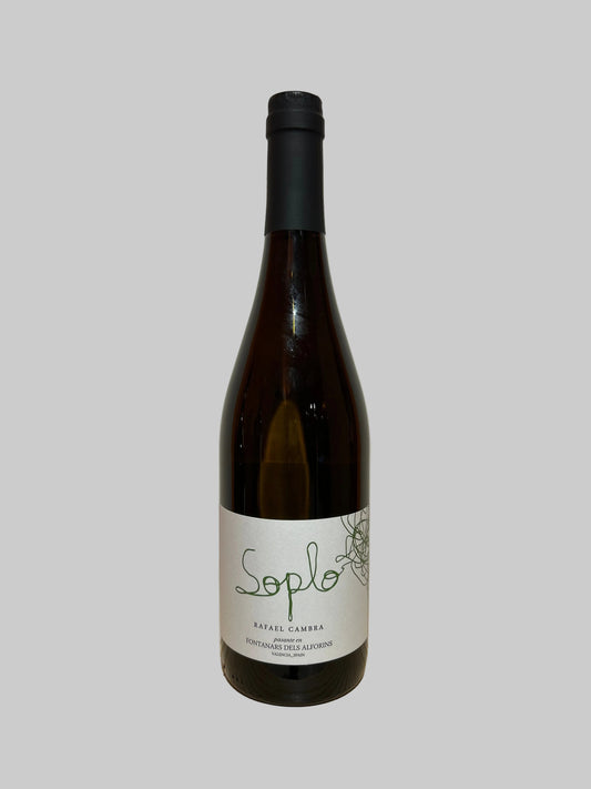 Valencia Soplo Blanco 2024, Rafael Cambra