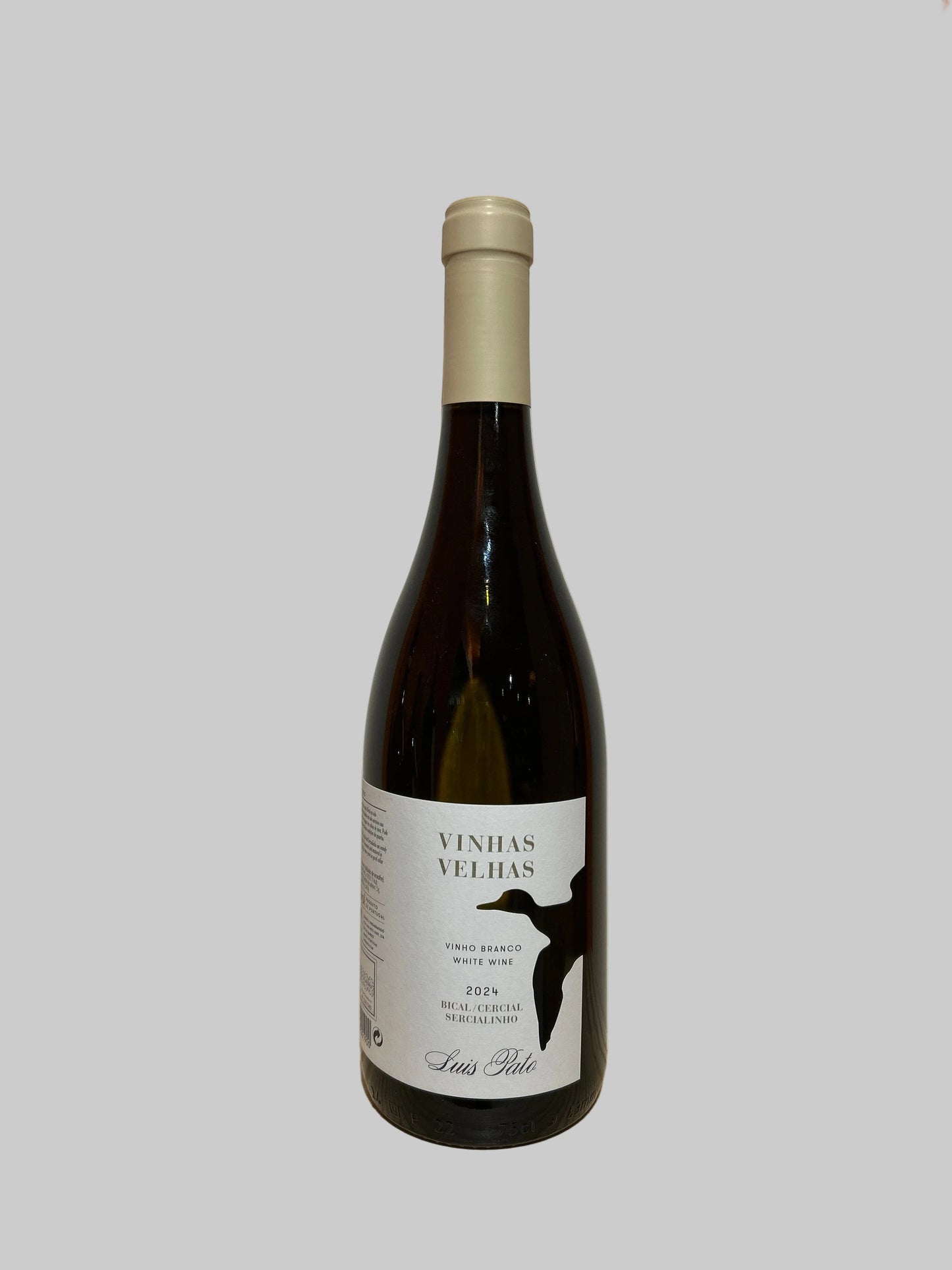 Vinhas Velhas Branco 2024, Luis Pato