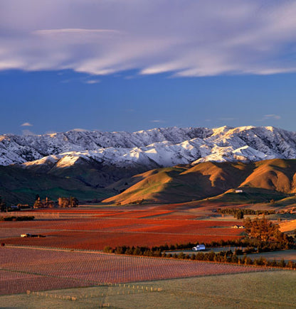 A very special tasting of 9 wines with Kevin Judd from Greywacke in Marlborough, NZ - Wednesday 21st October 7pm to 8:30pm